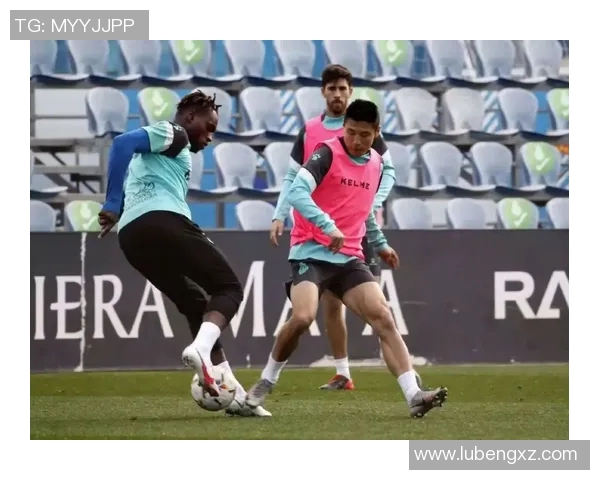 冰球职业联赛最新转会动态分析及未来趋势展望